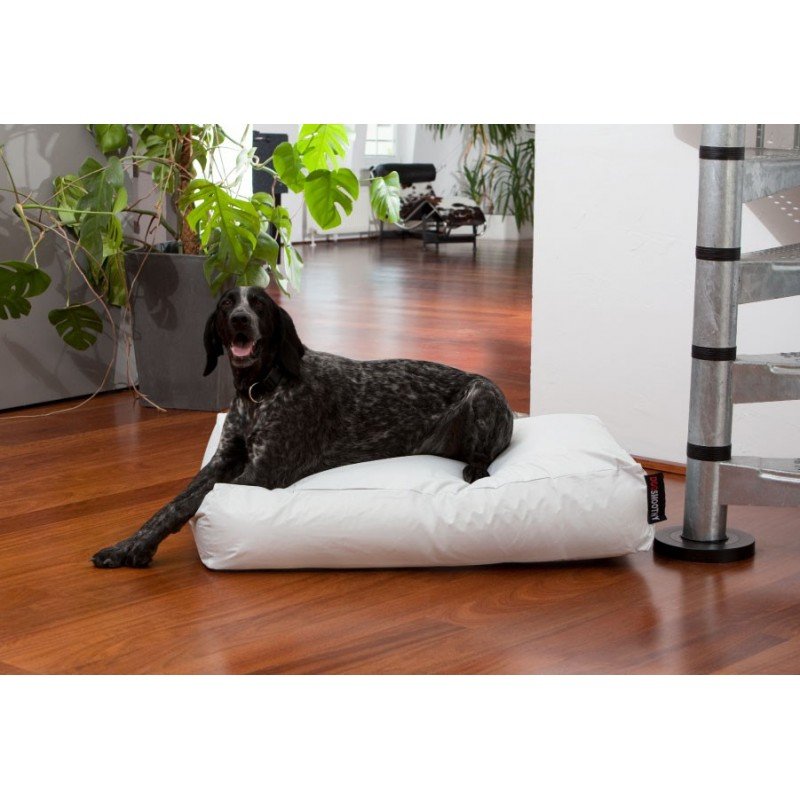 Smoothy® Koiran Säkkituoli